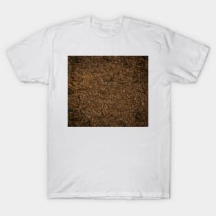 Needle Carpet Two T-Shirt